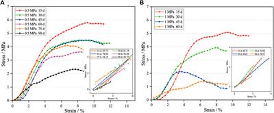 Degradation of 3D-Printed Porous Polylactic Acid Scaffolds Under Mechanical Stimulus